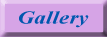 Image Gallery